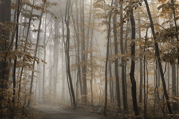 Deiter, Lori 아티스트의 Foggy Forest in Fall작품입니다.
