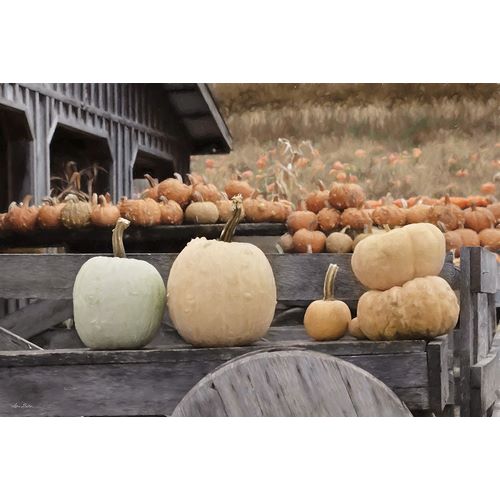 Deiter, Lori 아티스트의 Autumn Pumpkin Harvest작품입니다.