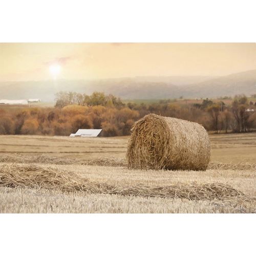 Deiter, Lori 아티스트의 Golden Country Sunrise작품입니다.