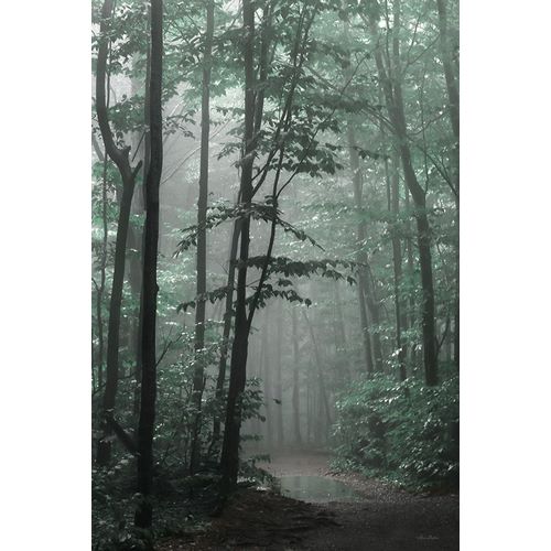 Deiter, Lori 아티스트의 Misty Forest작품입니다.
