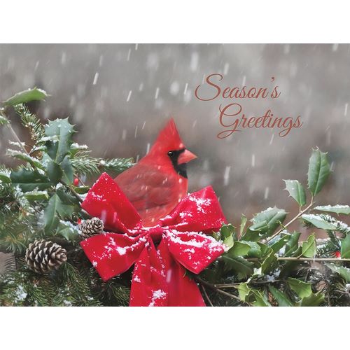 Deiter, Lori 아티스트의 Seasons Greetings Cardinal작품입니다.