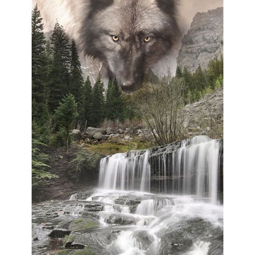 Deiter, Lori 아티스트의 Watchful Wolf작품입니다.