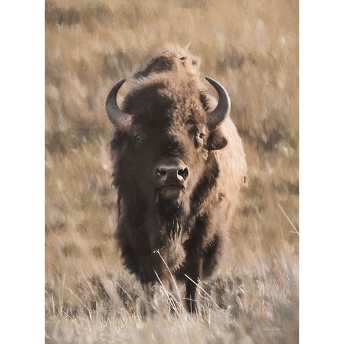 Deiter, Lori 아티스트의 Yellowstone Bison작품입니다.