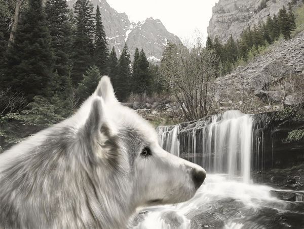Deiter, Lori 아티스트의 Wolf Waterfall Visit작품입니다.
