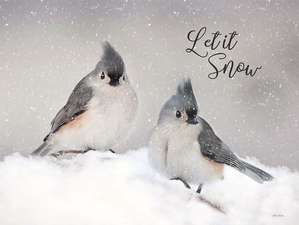Deiter, Lori 아티스트의 Let It Snow Titmouse Pair작품입니다.