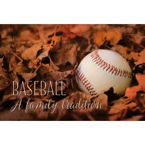 Baseball - A Family Tradition