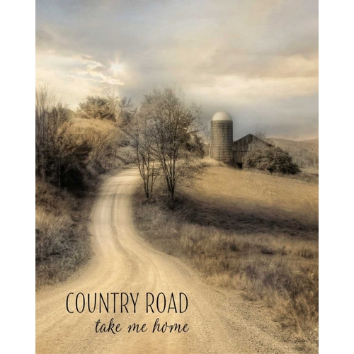 Country Road Take Me Home