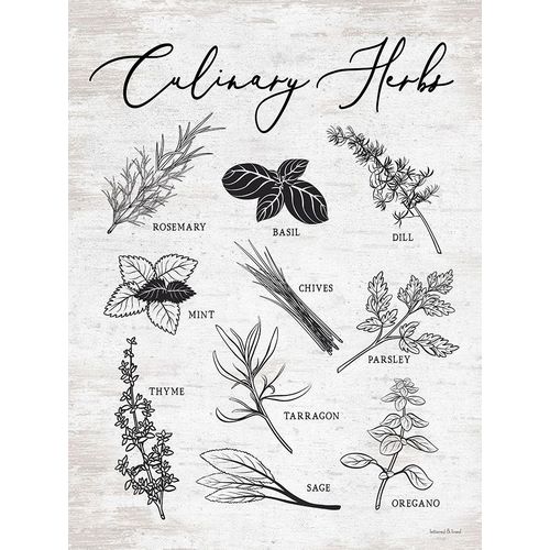 lettered And lined 아티스트의 Culinary Herbs 작품