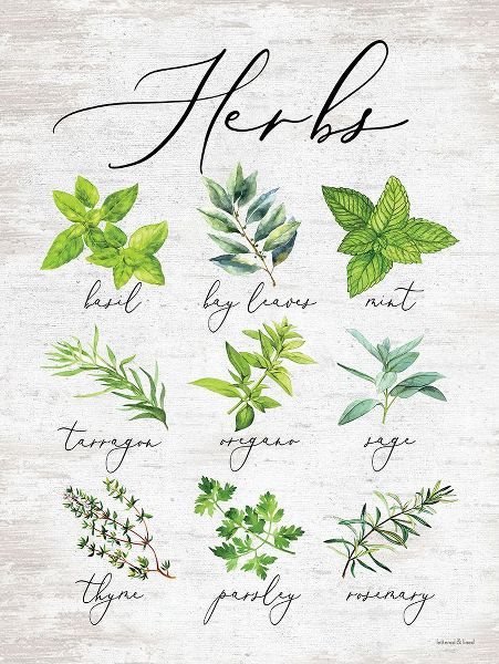 lettered And lined 아티스트의 Herbs 작품