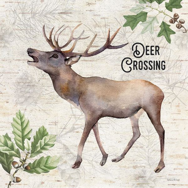 Lettered And Lined 작가의 Deer Crossing 작품