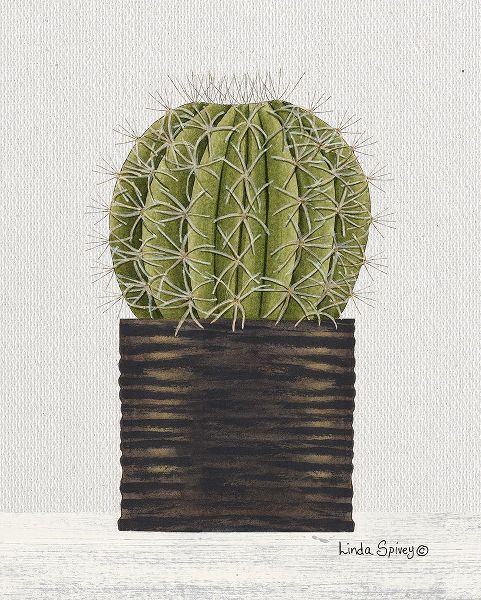 Spivey, Linda 아티스트의 Potted Cactus 작품