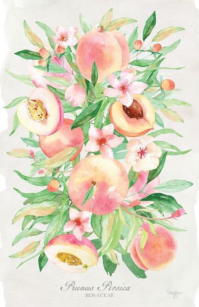 Mollie B. 아티스트의 Peach Bouquet 작품