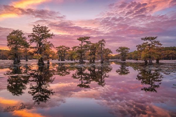 Magnificent Sunset in the Swamps