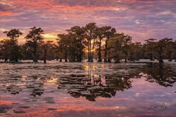 Sundown in the Swamps