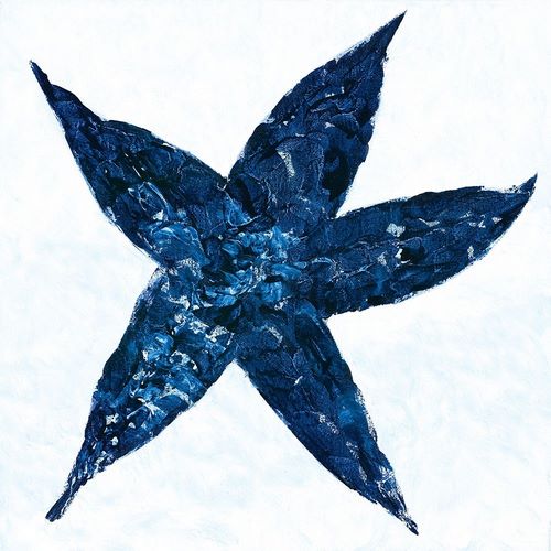 Midnight Starfish