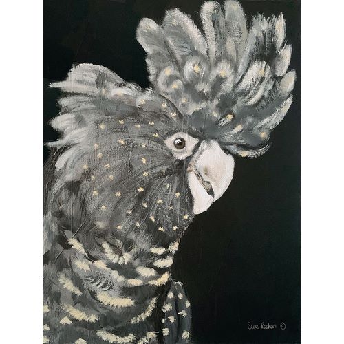 Redman, Suzi 아티스트의 Gray Cockatoo 작품
