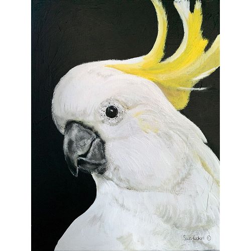 Redman, Suzi 아티스트의 White Cockatoo 작품