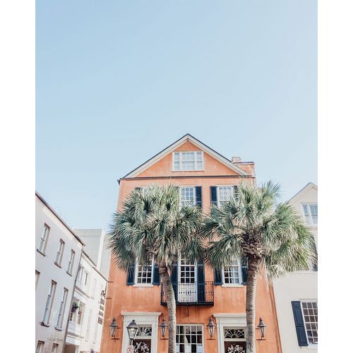 Charleston Palms