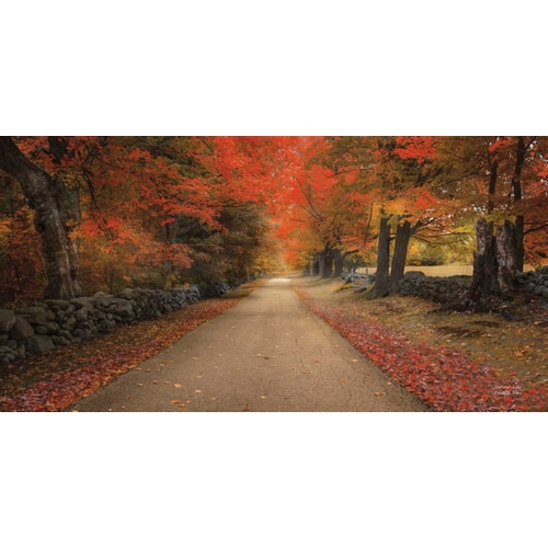 October Lane