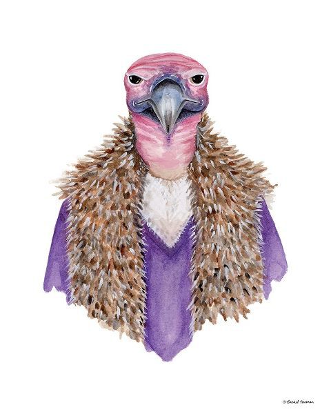 Vulture in a Vest
