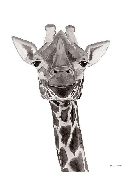 Safari Giraffe Peek-a-boo
