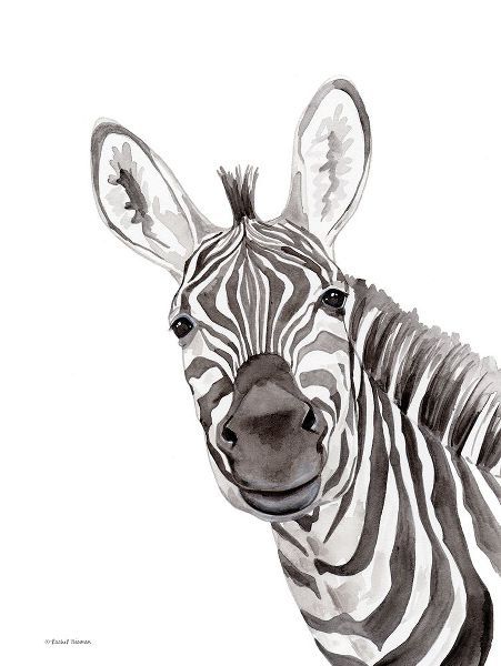 Safari Zebra Peek-a-boo