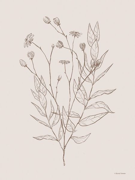 Nieman, Rachel 아티스트의 Wildflower Drawing 작품