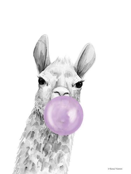Nieman, Rachel 아티스트의 Bubblegum Alpaca 작품