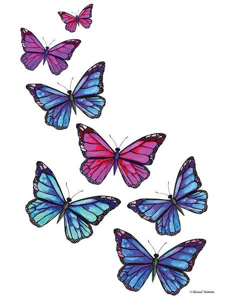 Nieman, Rachel 작가의 Vibrant Flying Butterflies 작품