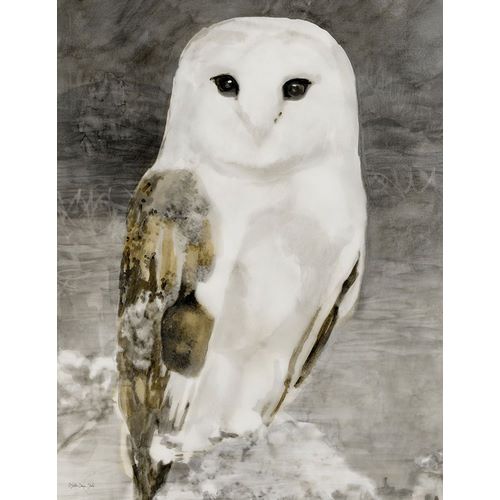 Stellar Design Studio 아티스트의 Snowy Owl 1작품입니다.