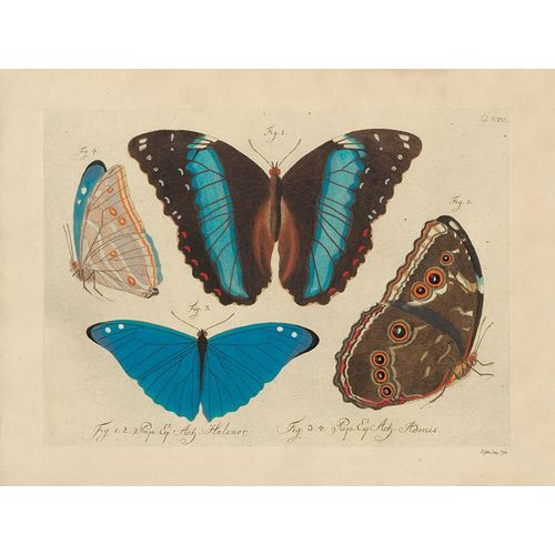 Stellar Design Studio 아티스트의 Vintage Butterflies 1작품입니다.