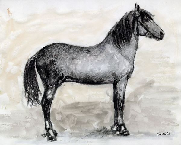 Horse Study 1