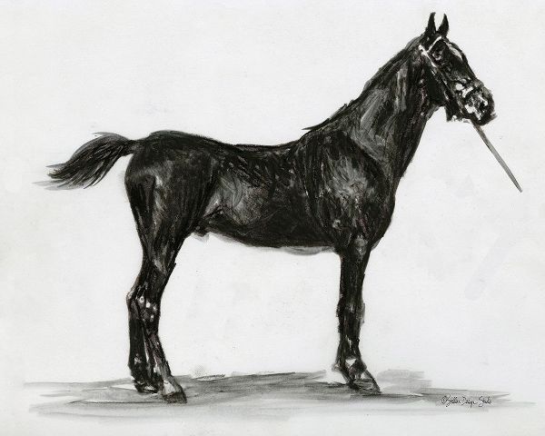 Horse Study 3