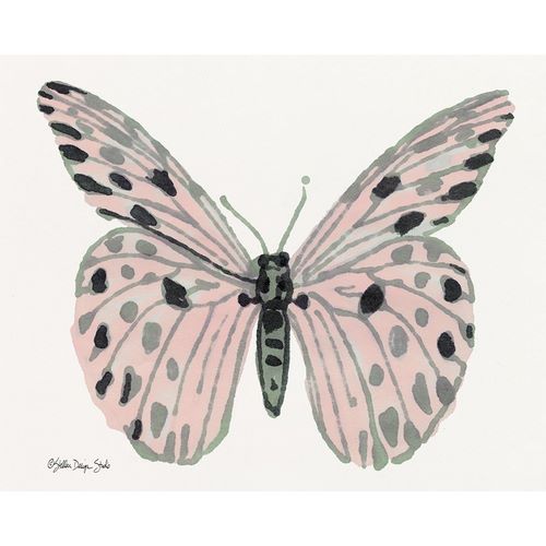 Butterfly 6
