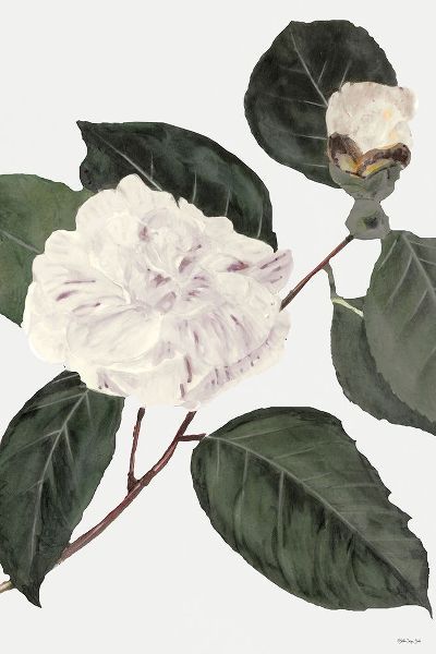 White Botanical I