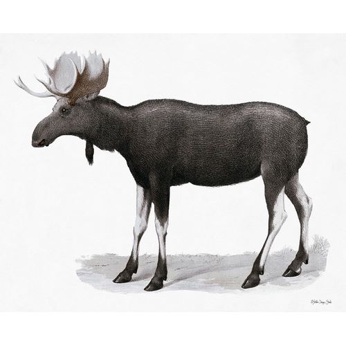 Grand Moose