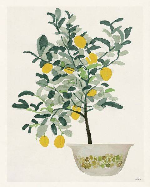 Lemon Tree II