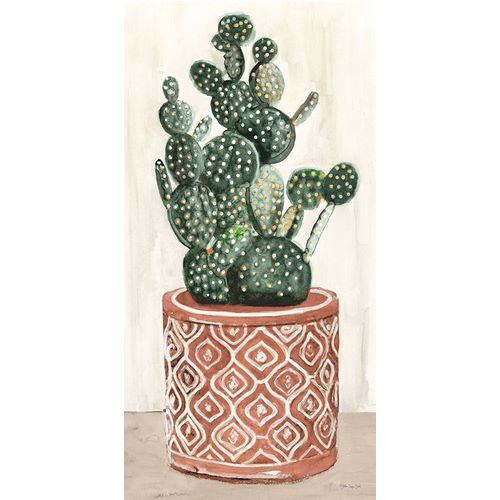 Cactus in Pot 1