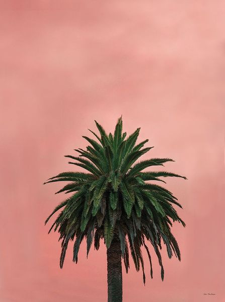 Seven Trees Design 아티스트의 Pink Palm 작품