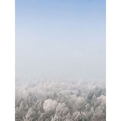 Seven Trees Design 아티스트의 Snow Forest from the Sky   작품
