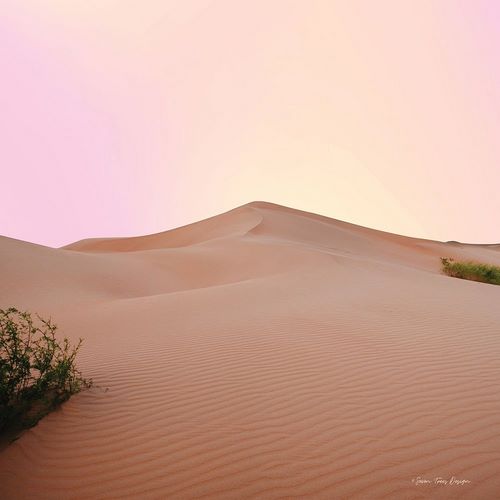 The Calm Dune