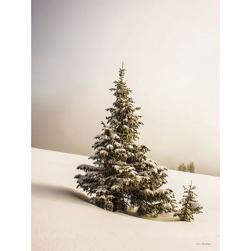 Seven Trees Design 아티스트의 Pine Trees in the Snow    작품