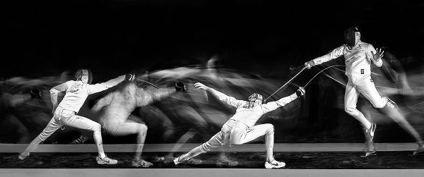Ghesquiere, Hilde 작가의 Fencing #1 작품