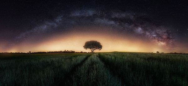 Ferrero, Ivan 작가의 Milky Way Over Lonely Tree 작품