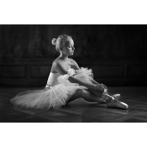 Ivanova, Victoria 작가의 The Little Ballerina 1 작품