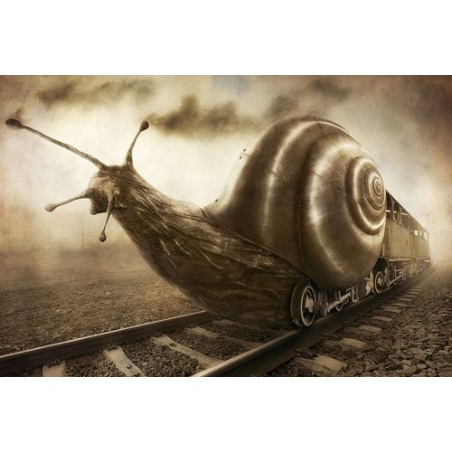 Kiciak, Christophe 아티스트의 Snail Mail작품입니다.