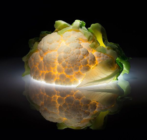 De Kogel, Wieteke 아티스트의 Cauliflower작품입니다.