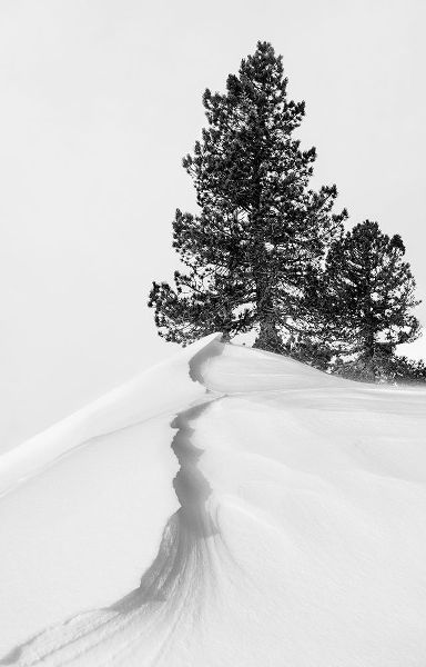 Nunez Buj, Rodrigo 작가의 About The Snow And Forms 작품