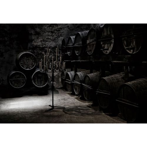 Hawerkamp, Hans-Wolfgang 작가의 The Dark Atmosphere Of An Old Wine Cellar 작품