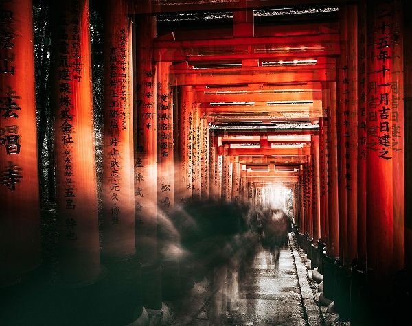 Chiriaco, Carmine 아티스트의 Fushimi Inari Shrine작품입니다.